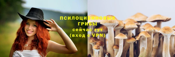 мескалин Алексин